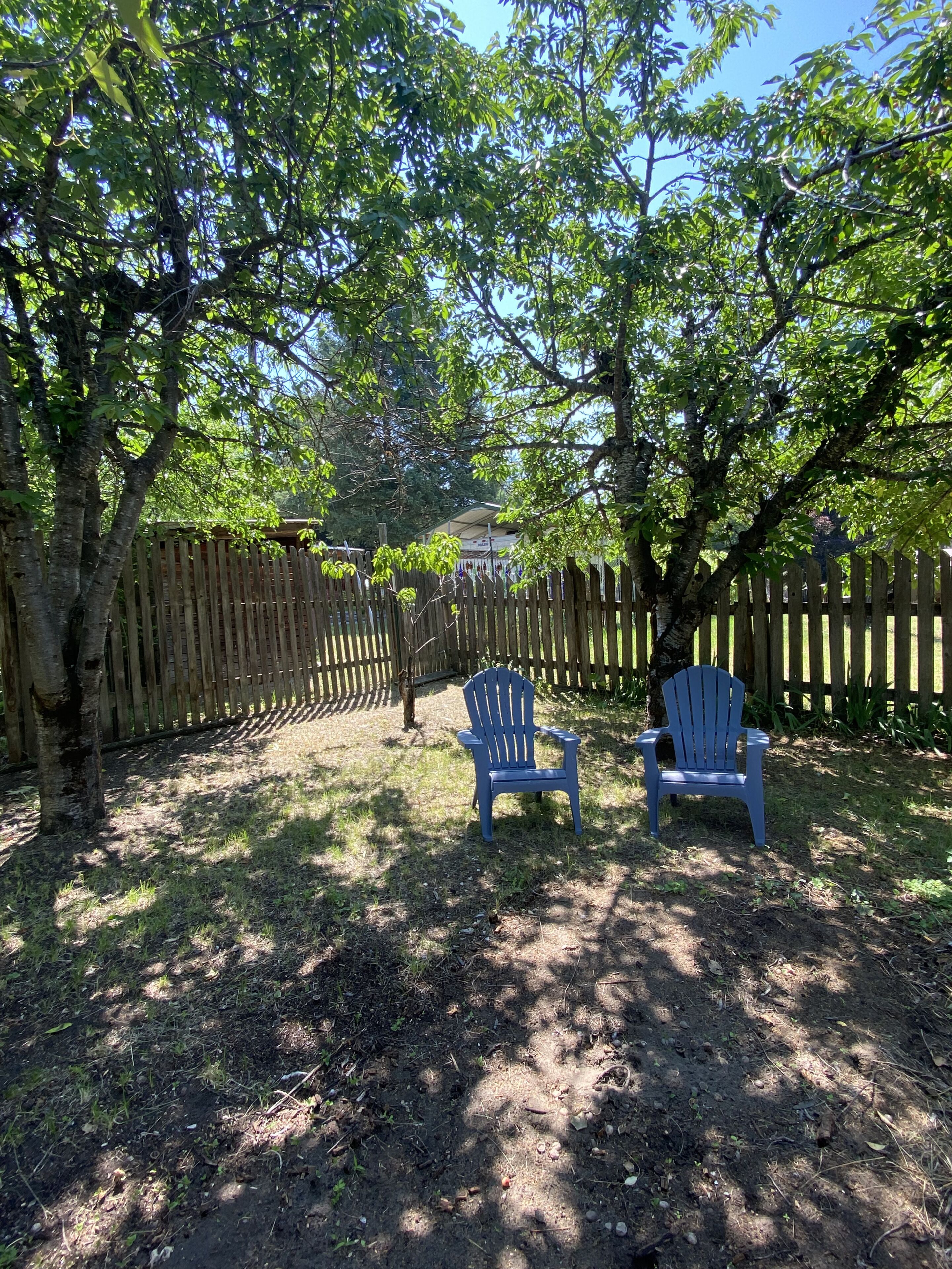 A backyard with two blue Adirondack chairs, a wooden fence, and trees.