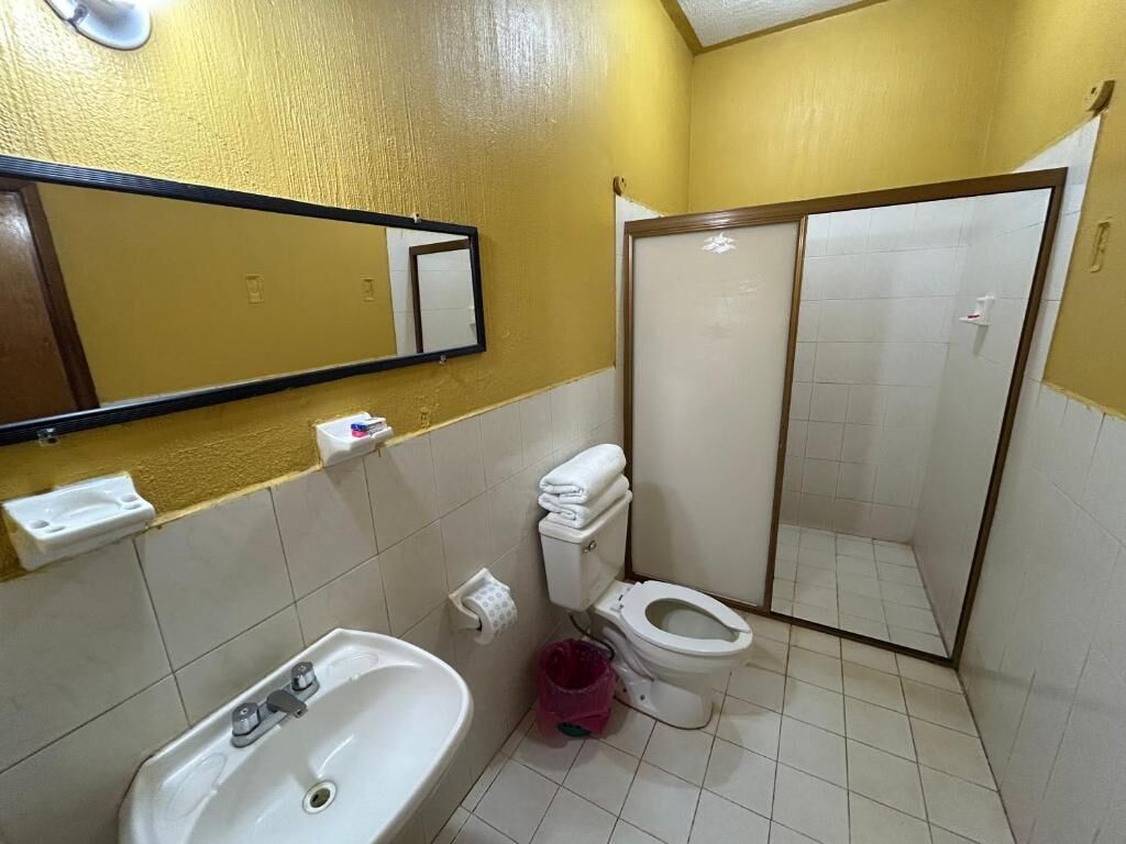 Chambre Standard | Salle de bain | Douche, serviettes fournies, savon, papier toilette