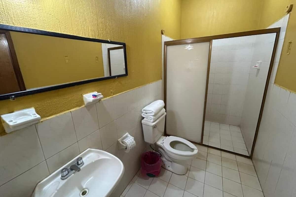 Un baño con lavamanos, inodoro y ducha.