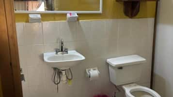 Ducha, toallas, jabón y papel higiénico