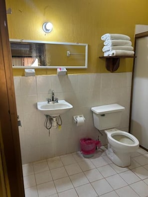 A bathroom with a sink, toilet, and a mirror.