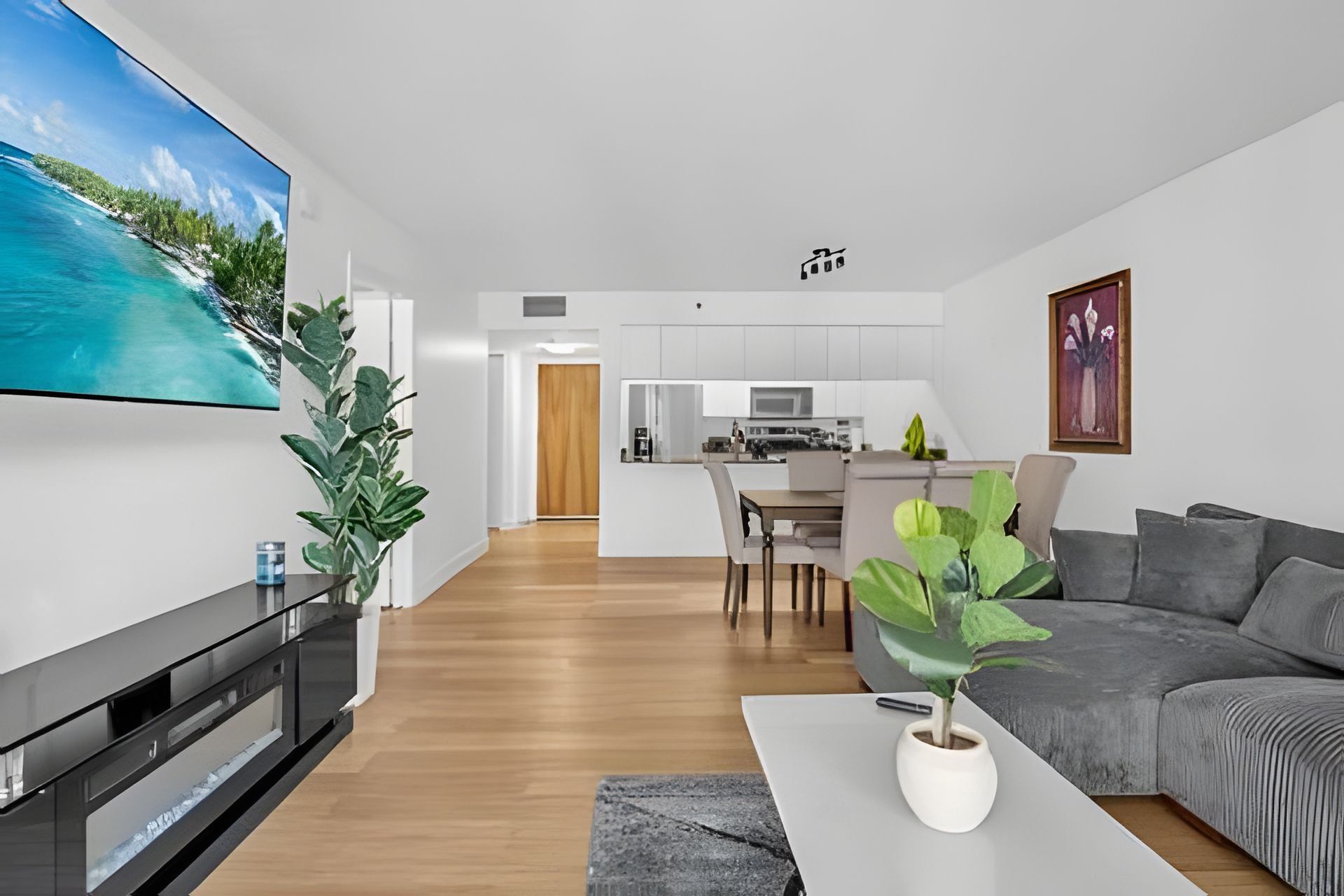 A modern living room with a flat-screen TV, a grey sofa, a coffee table, and a potted plant.