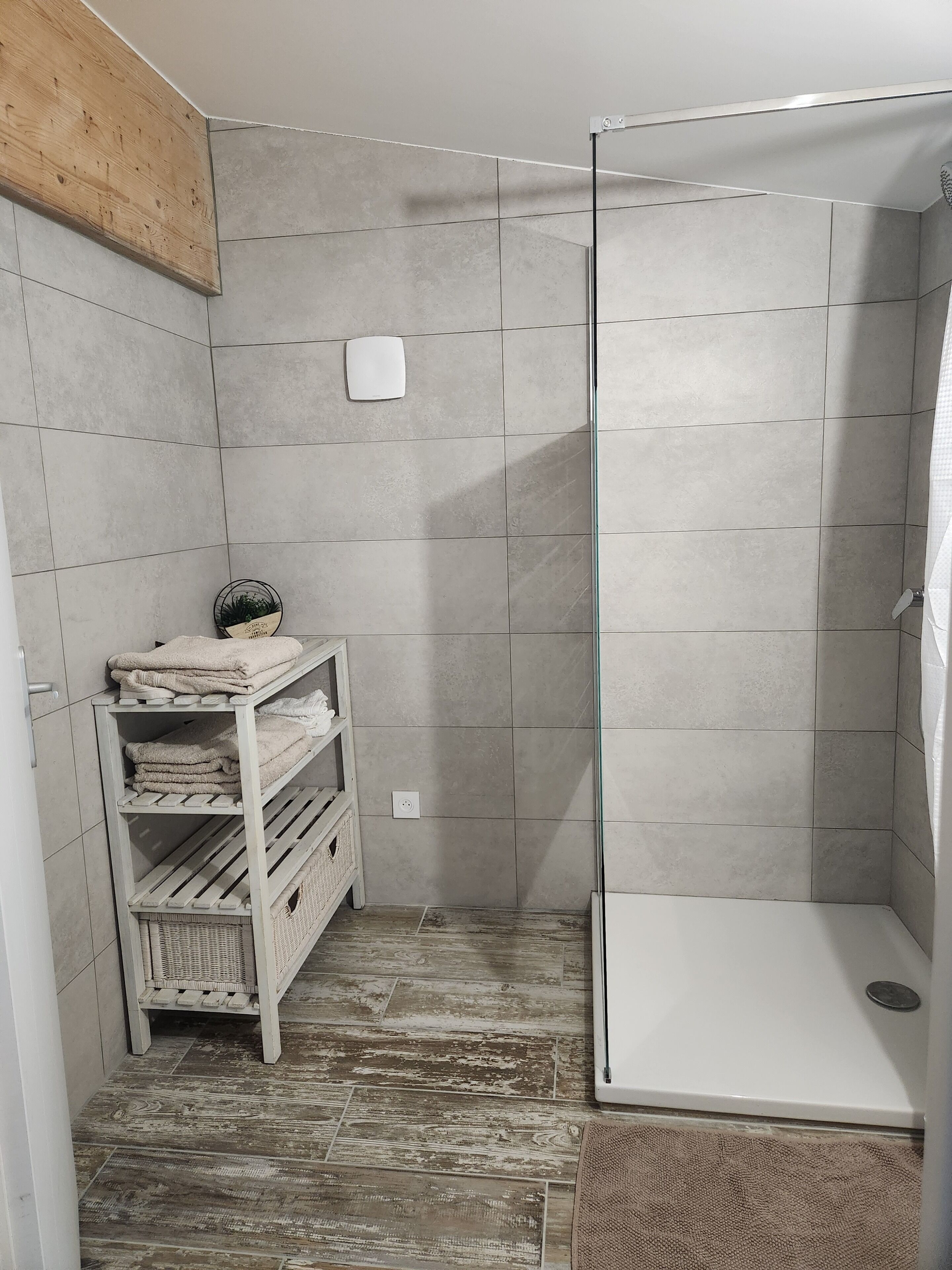 Shower, towels, toilet paper