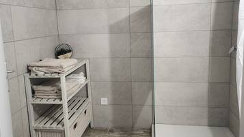 Shower, towels, toilet paper