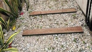 A narrow pathway with wooden planks and pebbles, flanked by plants. - The House in the Southeast / Covered Parking / Family Home (Chetumal)