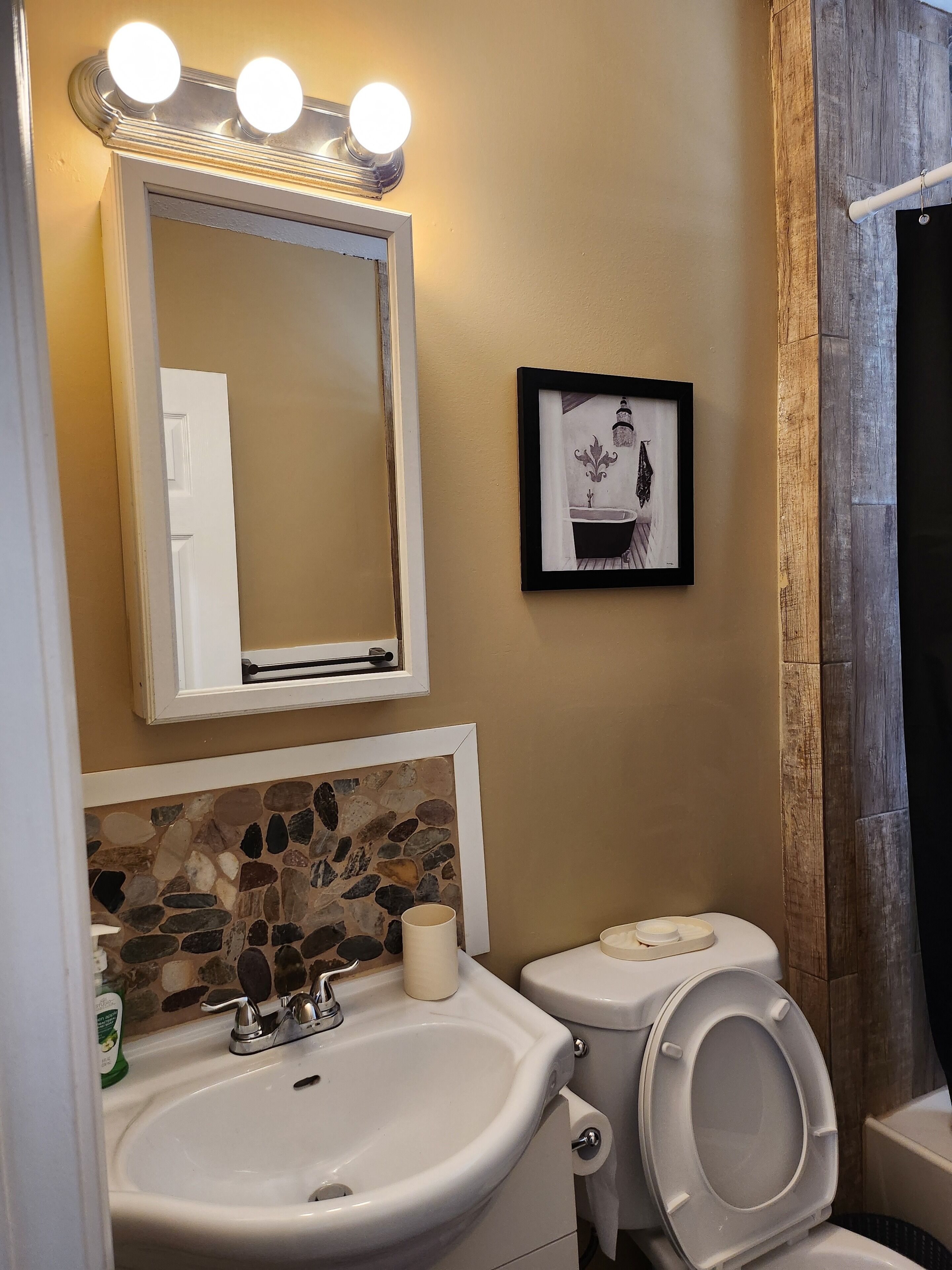 Hair dryer, towels, soap, toilet paper