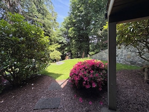 Ein Garten mit einer Steinmauer, einer Holzpergola und einer Rasenfläche mit rosa Blüten.