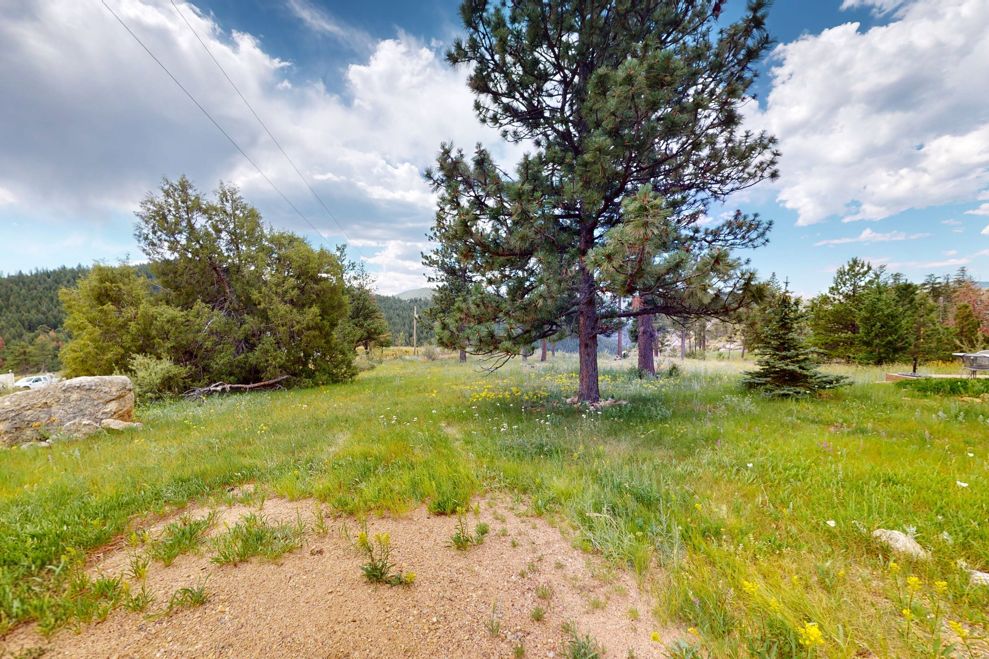 A natural landscape with a prominent pine tree, rocky terrain, and a clear sky.