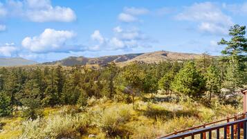 Cabin, Multiple Beds, Mountain View (Laughing Place) | View from room