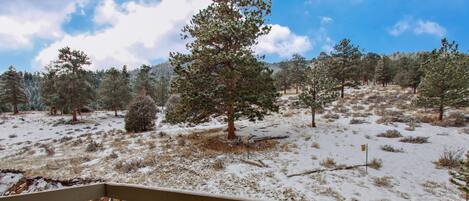 A deck with a green chair, a wooden railing, and a snowy landscape with trees.