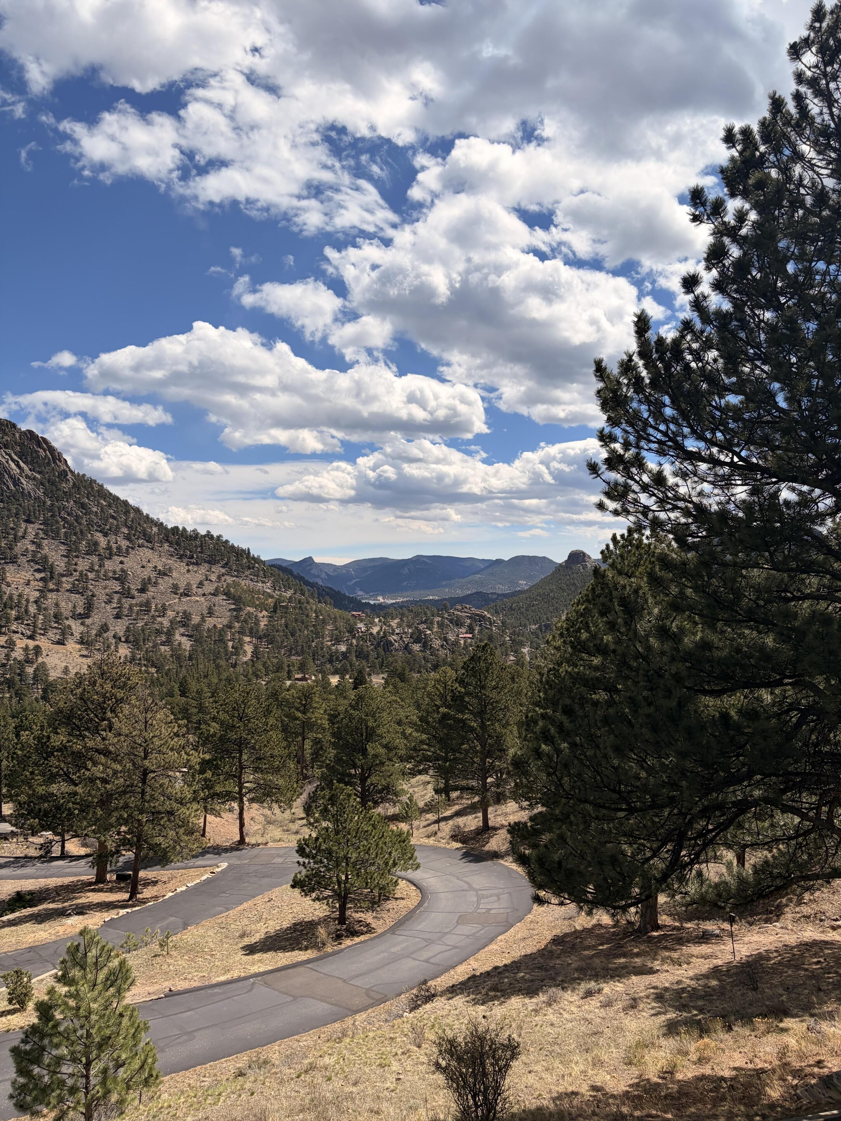 A winding road through a mountainous area with pine trees and a clear sky.