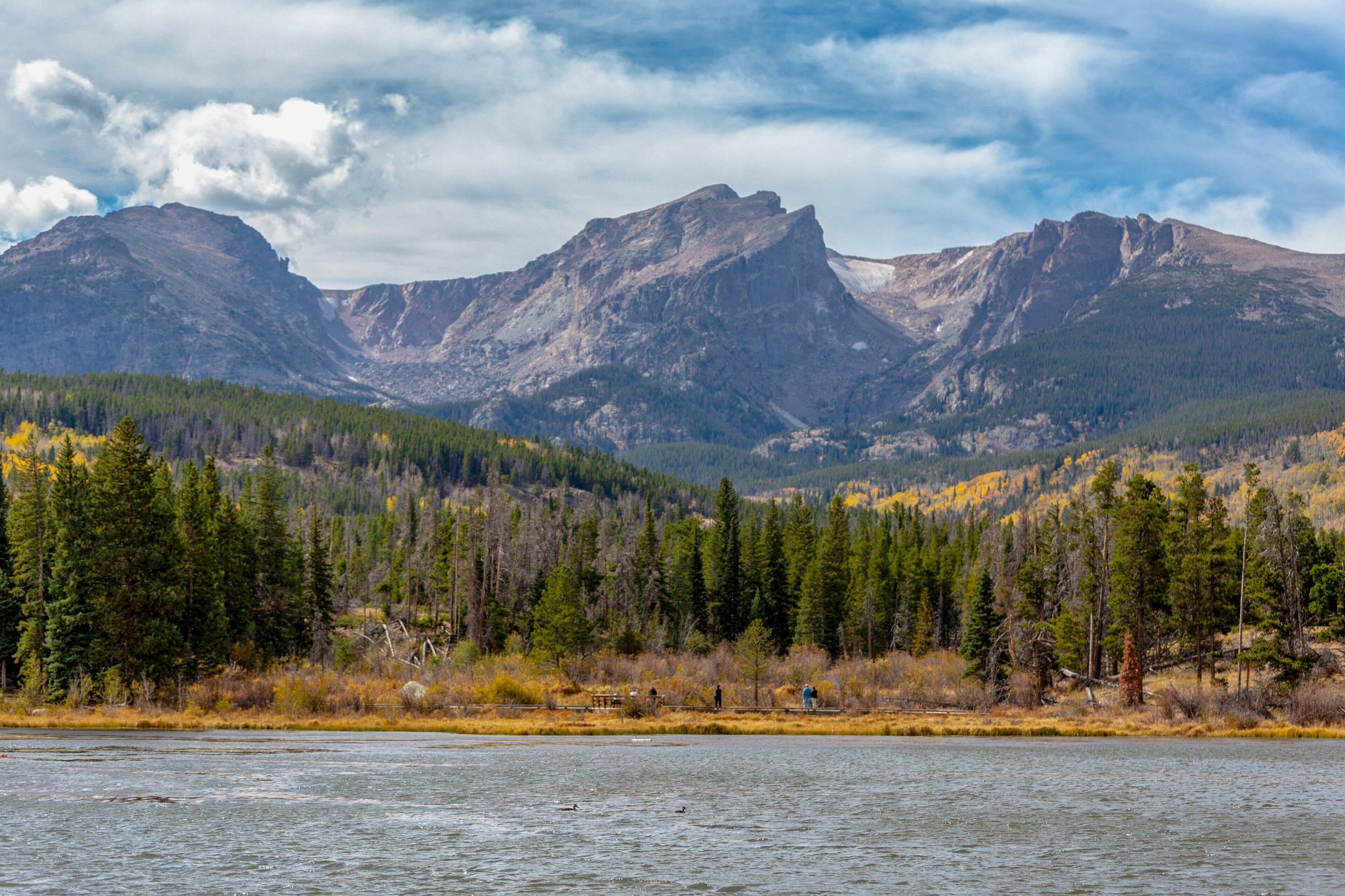 A mountainous landscape with a river in the foreground and dense forest.