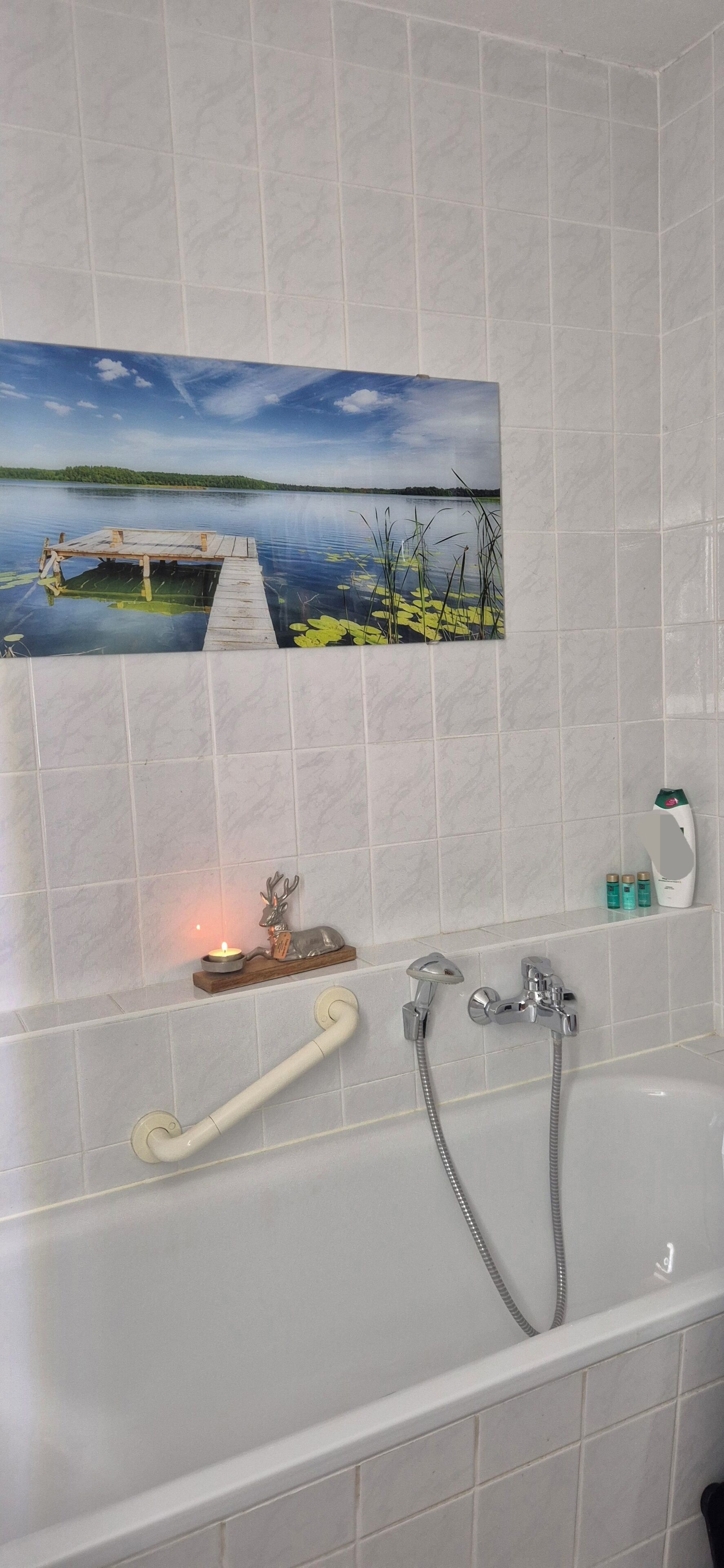 Hair dryer, towels, soap, toilet paper