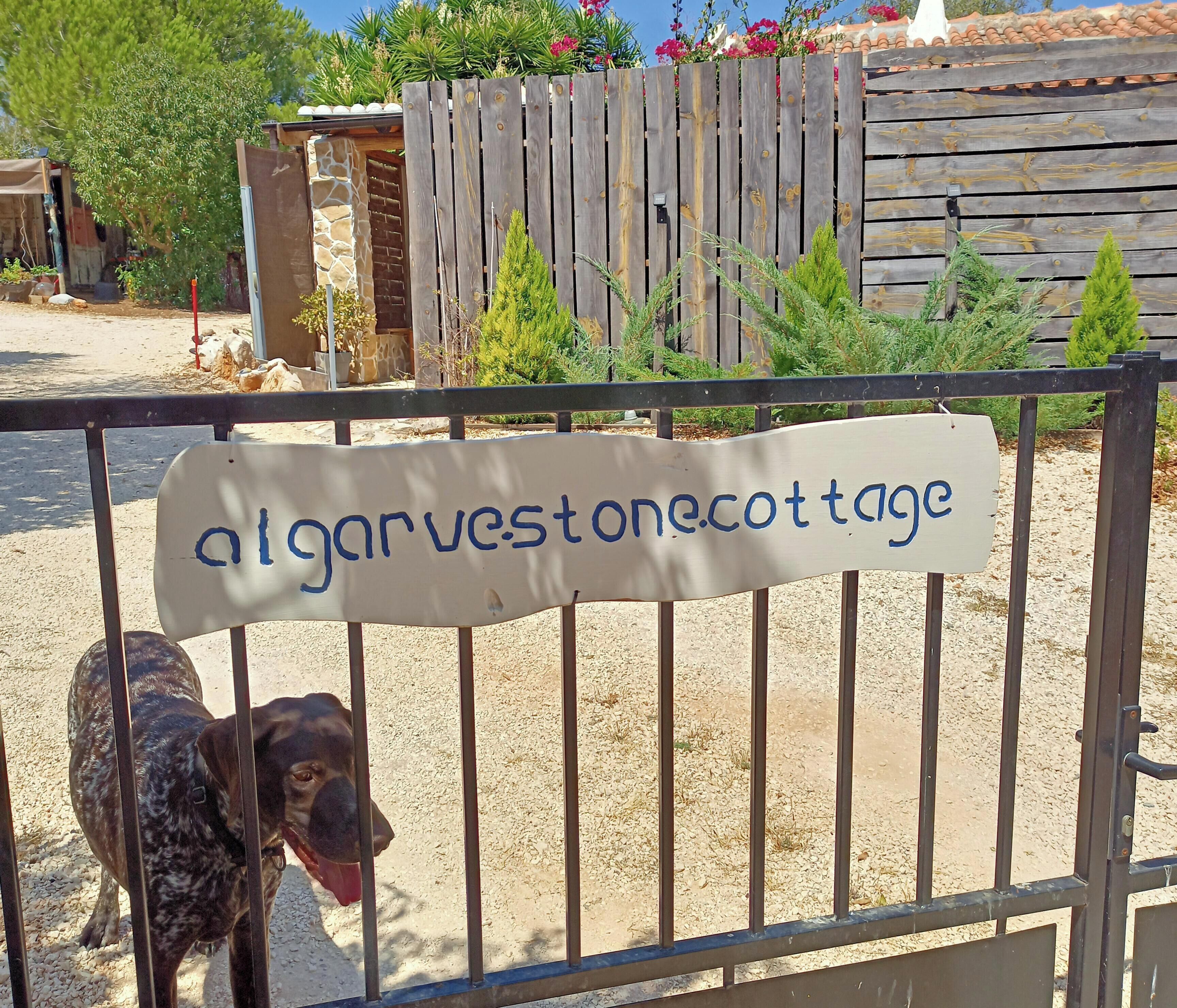Una tanca de fusta amb un cartell que diu 'algar vestonecot tage' i un gos darrere la tanca.