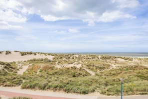 Eine Küstenlandschaft mit Dünen, einem befestigten Weg und einem weiten Blick auf das Meer.