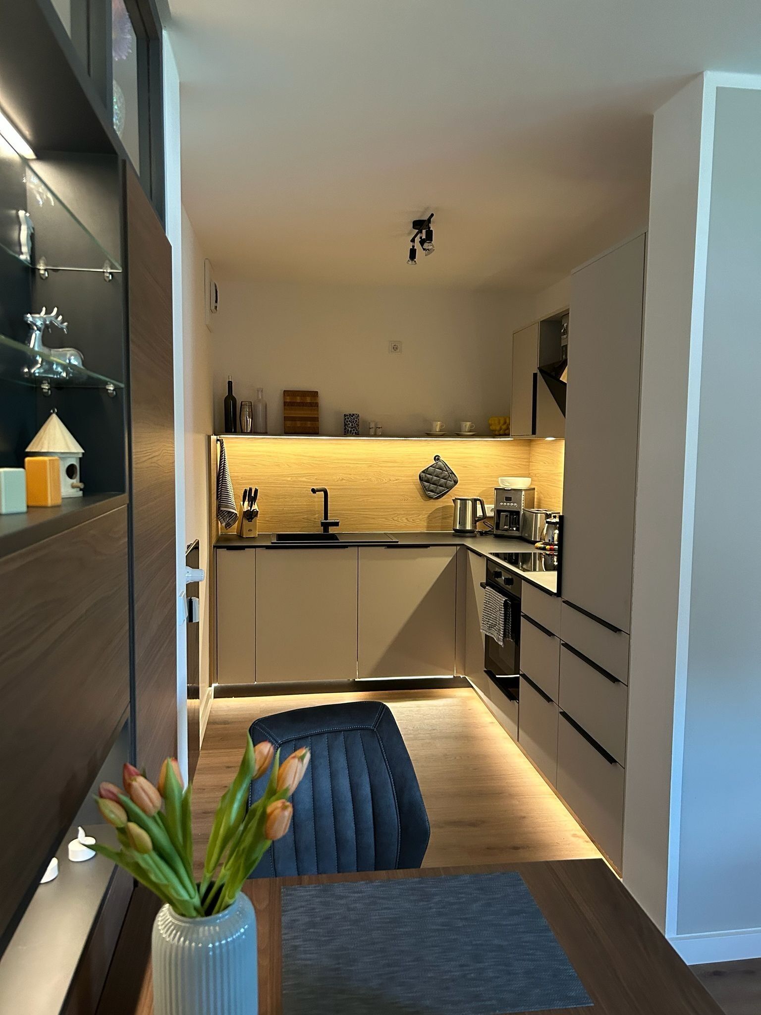 Frigorífico, horno, placa de cocina y lavavajillas