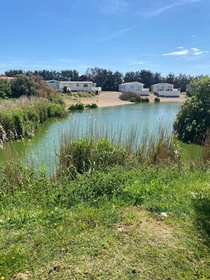 Propiedad junto al lago con casas móviles, un estanque y vegetación circundante.