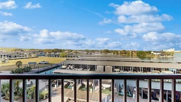 Condo, Multiple Beds, Balcony (The Waters Condo Building 3 - Horsesh) | View from room