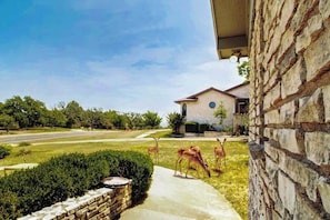 A house with a stone exterior, a paved driveway, and a lawn with deer. - Snowbird-friendly House With Game Room, Full Kitchen, Balcony & W/D (Kerrville)