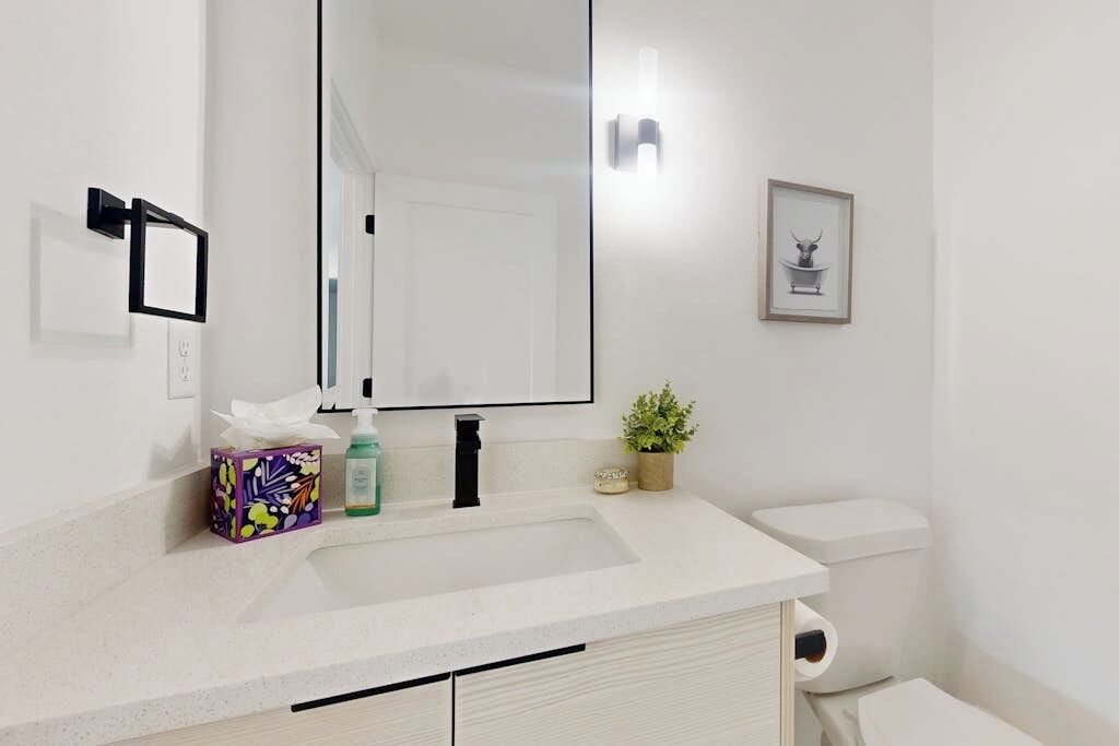 A bathroom with a white sink, a mirror, a framed picture, and a small potted plant.