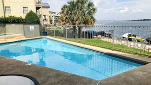 A rectangular swimming pool with a metal fence, a palm tree, and a view of the water. - Contemporary, Dog-friendly Townhouse With Balcony, Pool & Day Docks (Horseshoe Bay)
