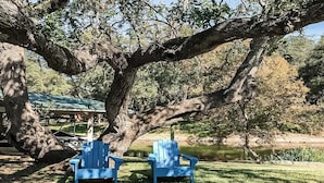 Deux chaises Adirondack bleues, placées sous un grand arbre, près d’une étendue d’eau.
