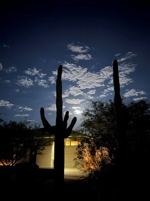 Exterior - Cozy 2-bedroom condo with a POOL in beautiful Tucson with AC (Tucson)