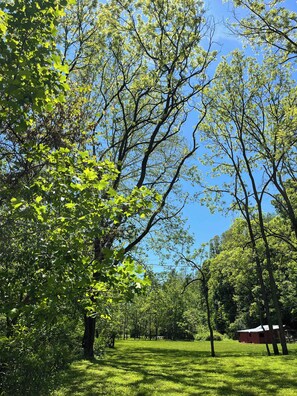 A park with trees and a red building.
