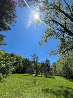 Un campo cubierto de hierba con árboles y cielo despejado.
