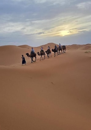 Un groupe de personnes chevauchant des chameaux à travers un paysage désertique.
