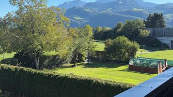 A view from a window overlooking a green landscape with trees and a distant mountain range.