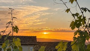 Ein Weinberg mit Sonnenuntergang im Hintergrund.
