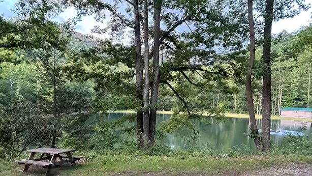 Un tavolo da picnic accanto a un lago, circondato da alberi.
