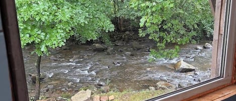 A window view of a forested area with a stream.