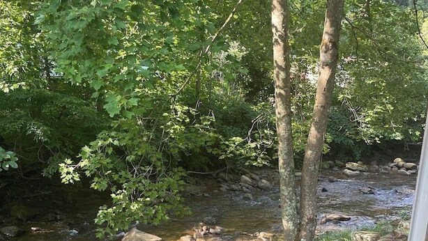 Ein weißer Plastikstuhl am Bach in einer bewaldeten Gegend.