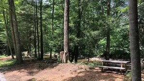 Une zone boisée avec une table de pique-nique et un sentier de terre.