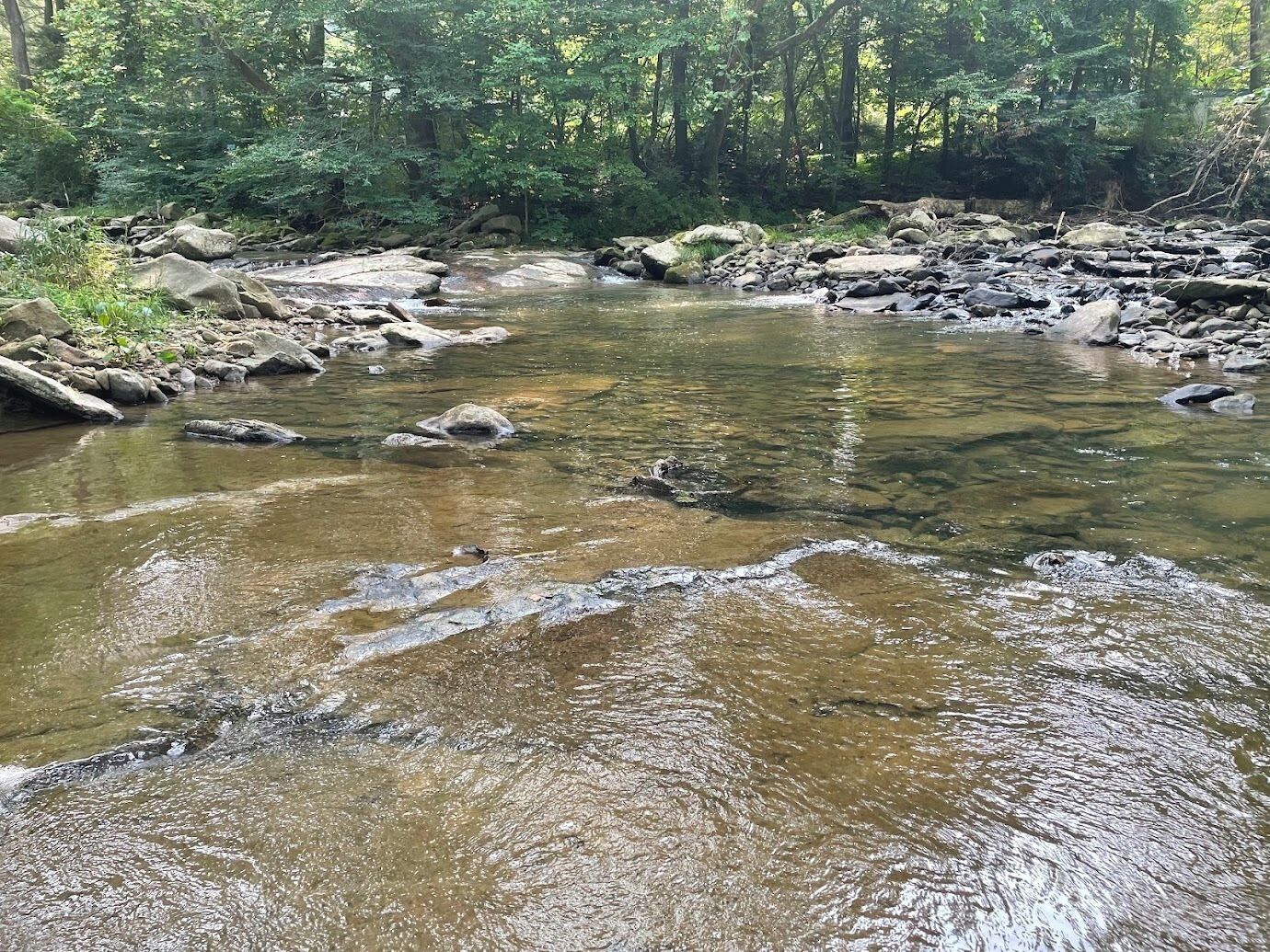 Um riacho límpido com pedras e árvores ao fundo.