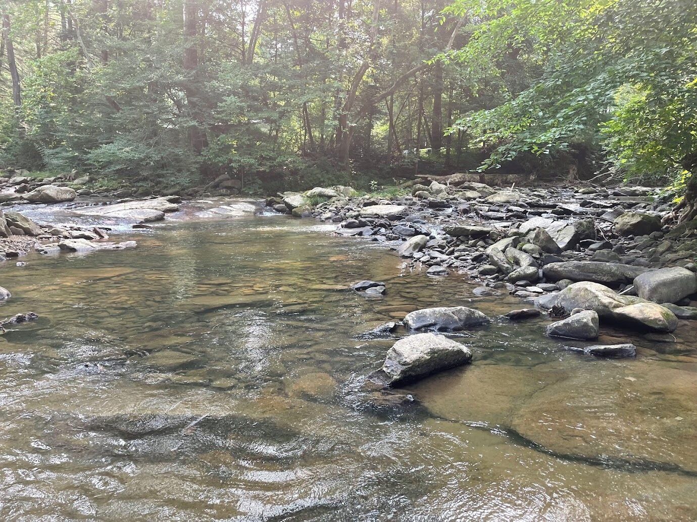 A natural stream with clear water, surrounded by rocks and dense forest.