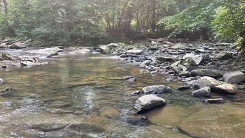 A natural stream with clear water, surrounded by rocks and dense forest.