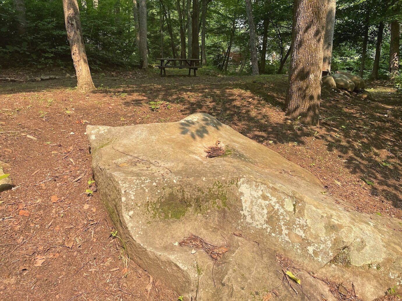 A natural setting with a stone structure, a wooden bench, and a forested background.