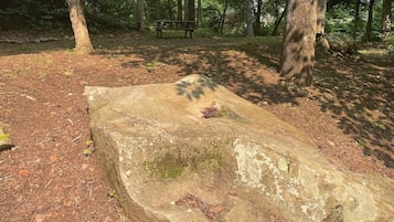 A natural setting with a stone structure, a wooden bench, and a forested background.