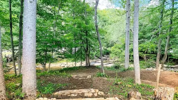 Une zone boisée avec un sentier en pierre et des arbres.