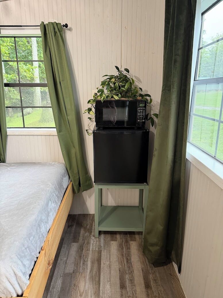 A room with a bed, a small table with a microwave, and a potted plant.
