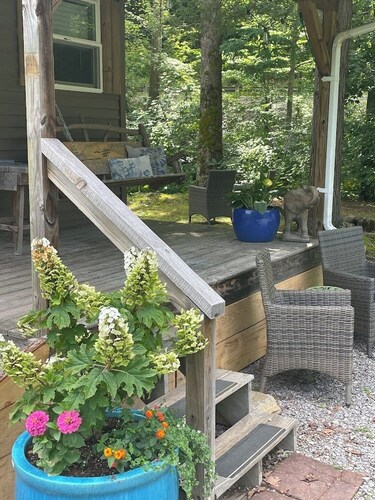 #12 Pondside cabin