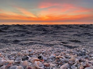 Ein Strand mit Sonnenuntergang, Kieselsteinen und Muscheln.