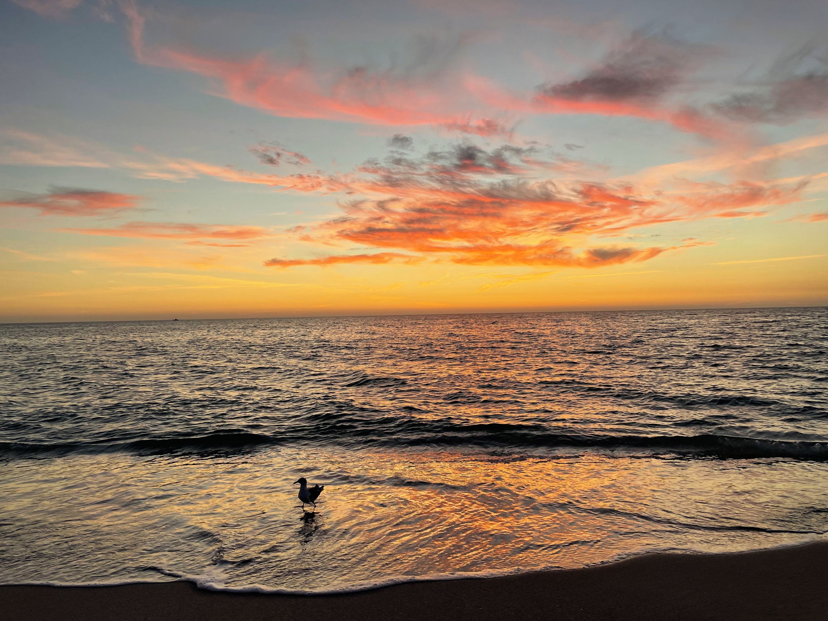Ein Strand mit Wellen und einem Sonnenuntergang.