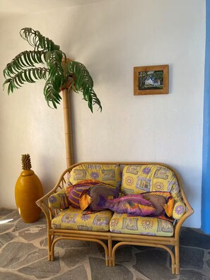 A wicker sofa with patterned cushions, a large potted plant, a framed picture on the wall, and a yellow vase.