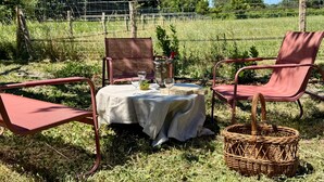 Un àpat de pícnic preparat amb una taula, dues cadires, una testosseta de metall i una cistella de vimet al camp, amb una tanca de filferro al fons.