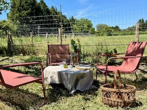 A picnic setup with a table, two chairs, a metal pitcher, and a wicker basket in a grassy field with a wire fence in the background. - Vacation Home in the Alpilles, Provence (Noves)