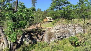 Une cabane rustique, dotée d’un toit en pente, entourée d’une forêt dense et de gros rochers.
